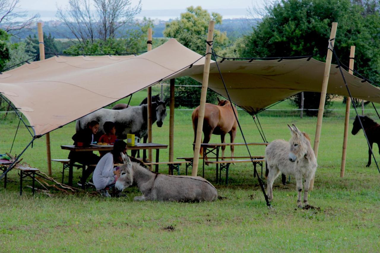 Dharma Horse Shelter Bungalows & Farmping 시오포크 외부 사진