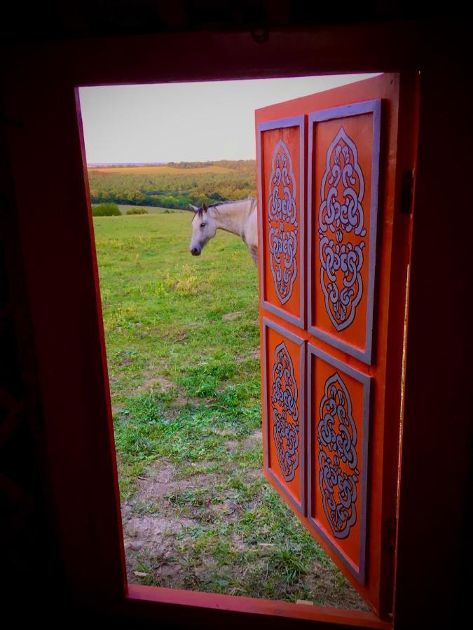 Dharma Horse Shelter Bungalows & Farmping 시오포크 외부 사진